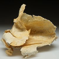 Palygorskite