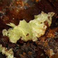 Sabugalite