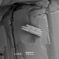 Dalnegroite, Realgar
