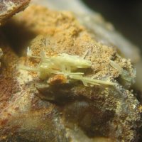 Sabugalite
