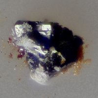 Kainotropite