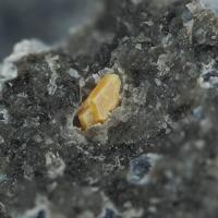 Bazhenovite
