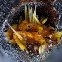 Bazhenovite