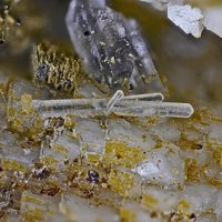 Kainosite-(Y), Clinochlore, Biotite