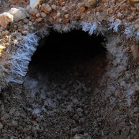 Ice