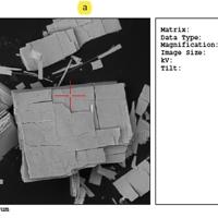 Adamsite-(Y), Franconite, Microcline