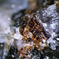 Lamprophyllite, Natrolite