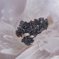 Sailaufite, Calcite