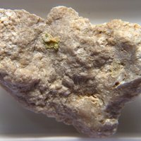 Carlfriesite