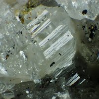 Sacrofanite