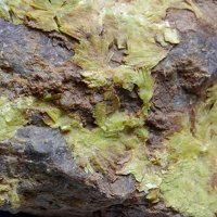 Uranocircite