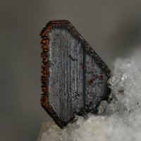 Fayalite