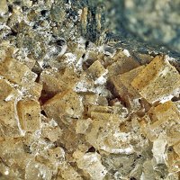 Åkermanite
