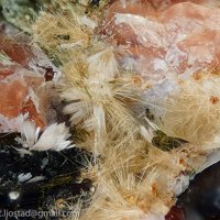 Raite, Zorite, Eudialyte
