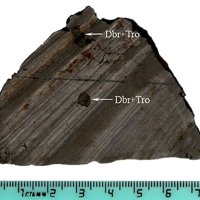 Daubréelite, Troilite, Kamacite