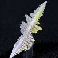 Salammoniac, Sulphur
