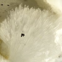 Dachiardite-Ca, Mordenite