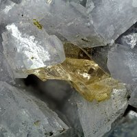 Iimoriite-(Y), Dolomite