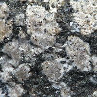 Ganomalite, Manganophyllite