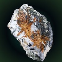 Labuntsovite-Mn