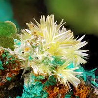 Rabbittite, Schröckingerite, Paddlewheelite