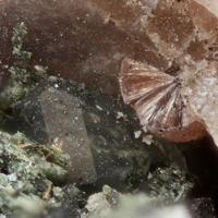Cappelenite-(Y), Aegirine