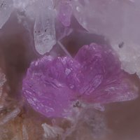 Sainfeldite