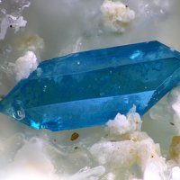 Salesite