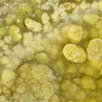 Calcurmolite