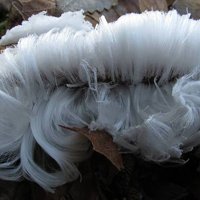 Ice