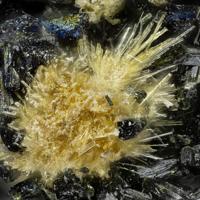 Lamprophyllite, Barytolamprophyllite