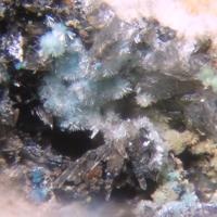 Caledonite, Linarite
