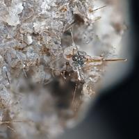 Aegirine, Opal, Sanidine