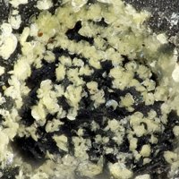 Ecdemite