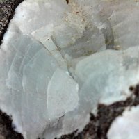 Garronite-Ca, Phillipsite Subgroup, Basalt
