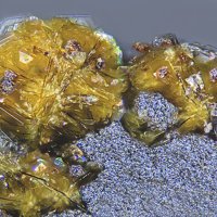 Oberwolfachite, Quartz, Goethite