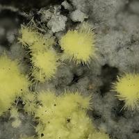Bayleyite