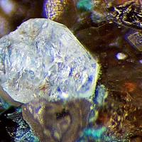 Caracolite