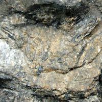 Bannisterite