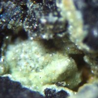 Uranospinite