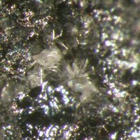 Otjisumeite, Germanite
