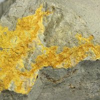 Carnotite