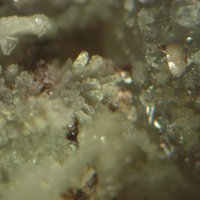 Cascandite