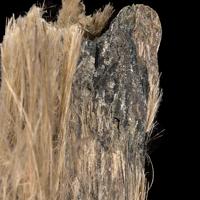Balangeroite