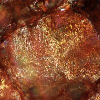 Jamesonite, Galena, Quartz
