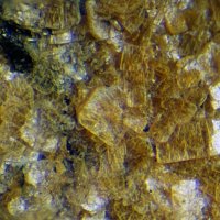 Kahlerite