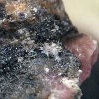 Larsenite, Willemite