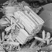 Gayite, Fluorapatite, Morinite