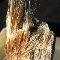 Balangeroite