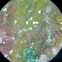 Agardite-(Y), Quartz